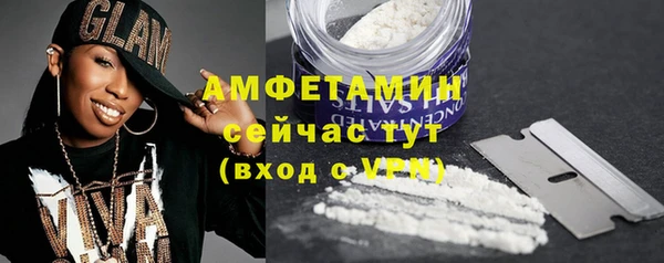 прущие грибы Новозыбков