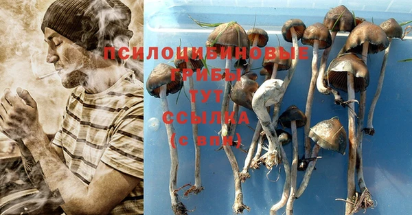 герыч Новодвинск