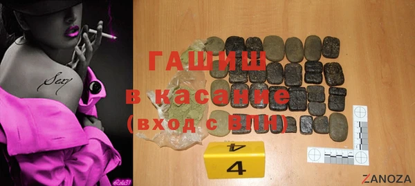 прущие грибы Новозыбков