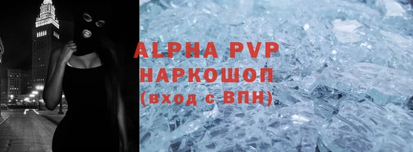 прущие грибы Новозыбков