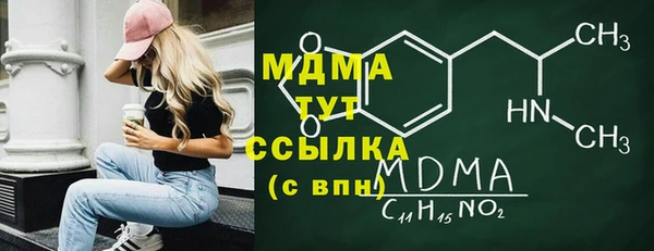 прущие грибы Новозыбков