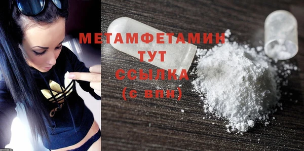 прущие грибы Новозыбков