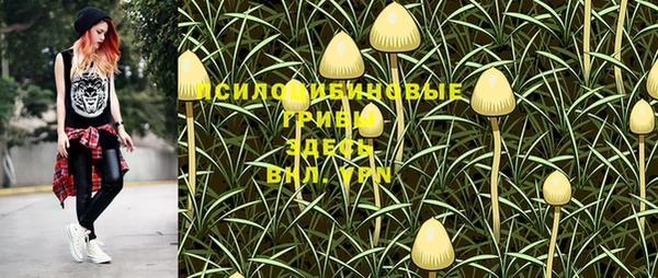 гашик Новокубанск