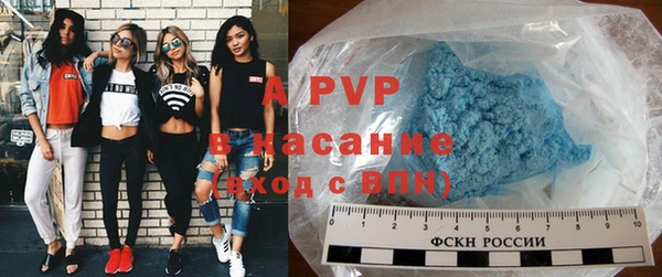 прущие грибы Новозыбков