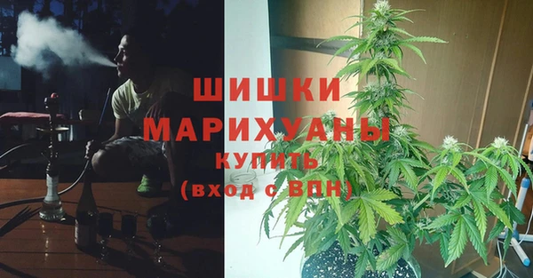 сатива Нязепетровск