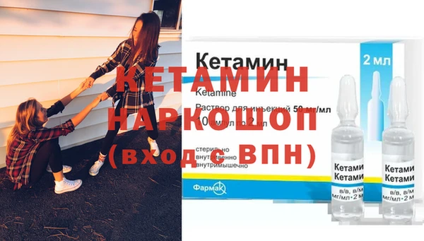 прущие грибы Новозыбков