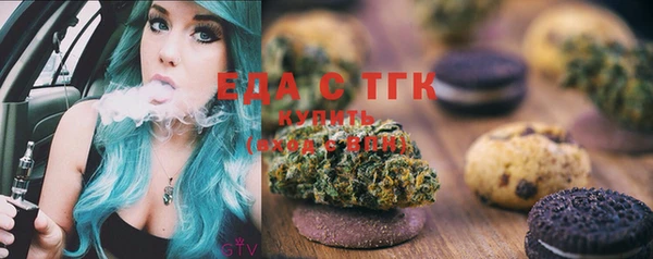прущие грибы Новозыбков