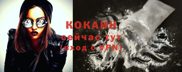 прущие грибы Новозыбков