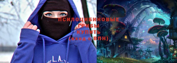 гашик Новокубанск