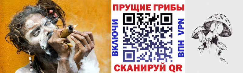 купить наркотик  Безенчук  Псилоцибиновые грибы ЛСД 